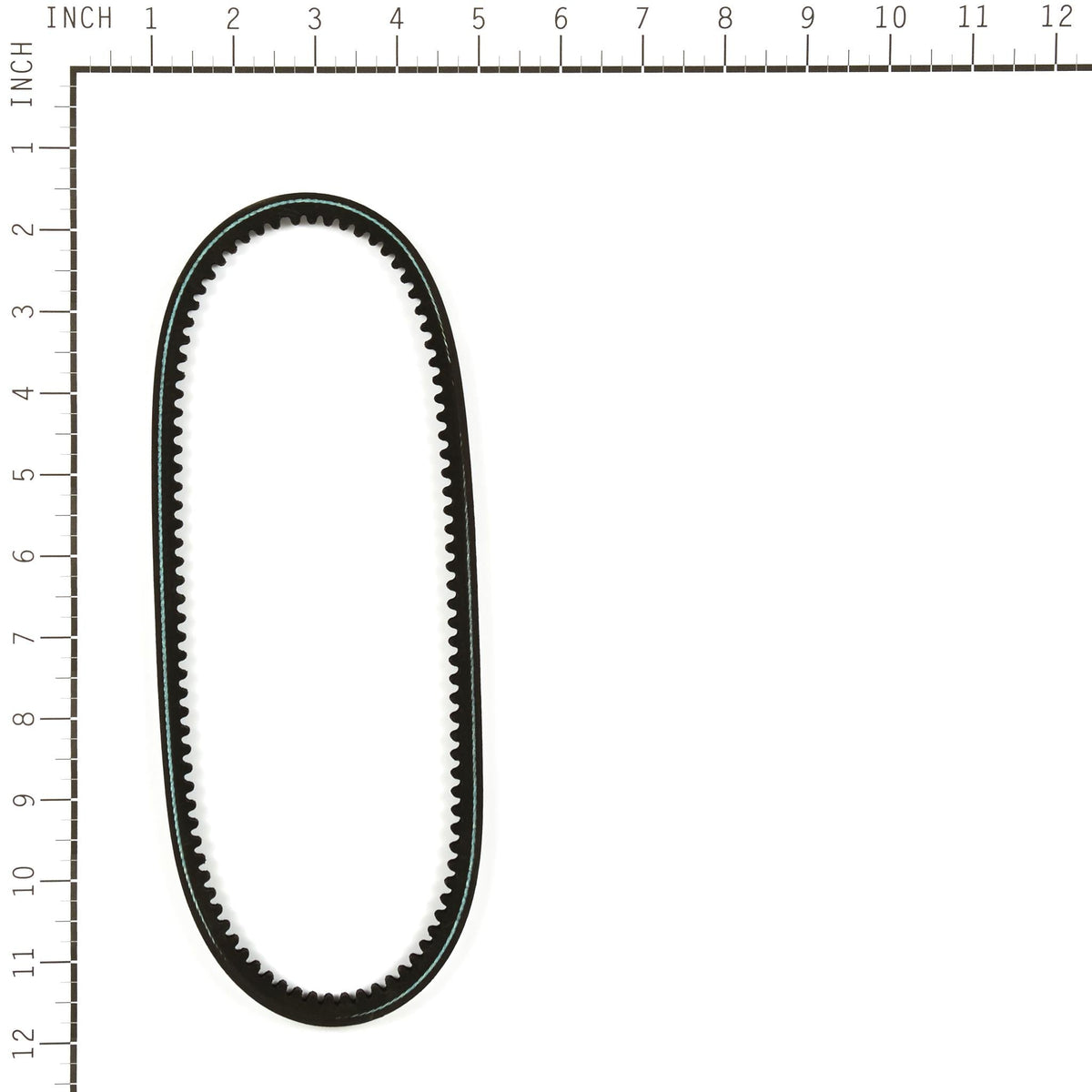 Oregon 75-938 Equipment Belt