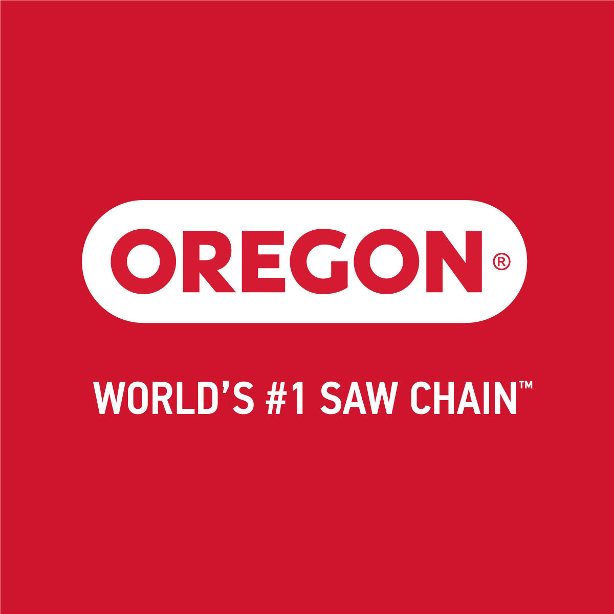 Oregon 20BPX062G .325" ControlCut Saw Chain