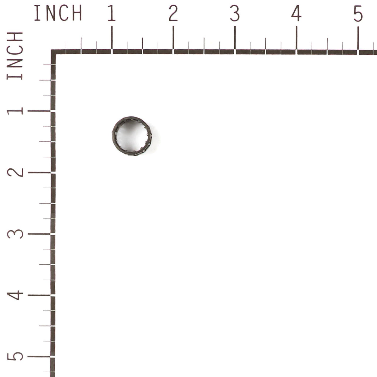 Oregon 11893 Bearing