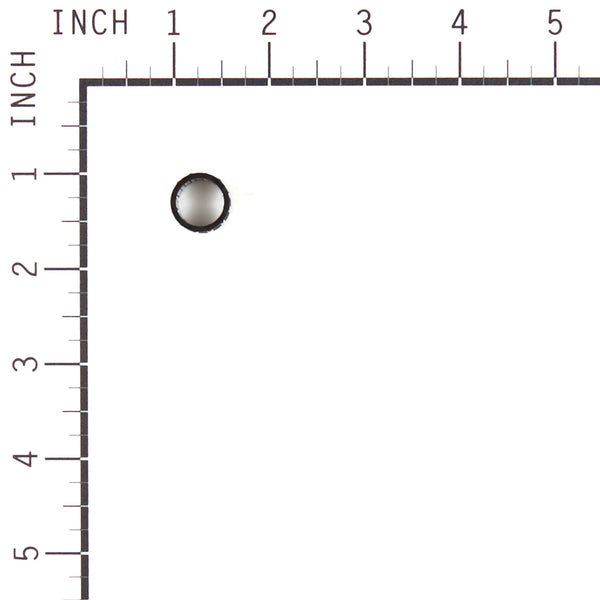 Oregon 37501 NEEDLE ROLLER BEARING 2 X 10.8