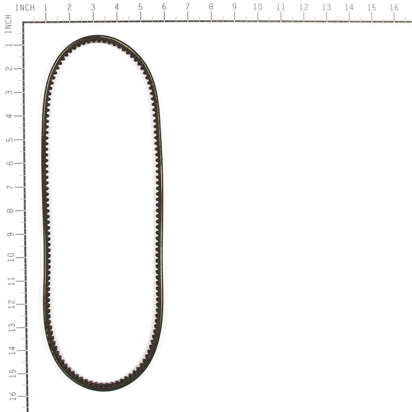 Oregon 115-219 1/2" x 35" Equipment Belt